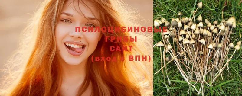 площадка наркотические препараты  Козельск  Псилоцибиновые грибы Psilocybe  купить  